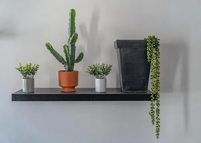 Les Temps Modernes - Nuit A *